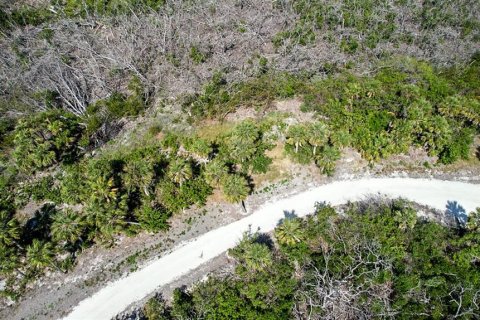 Land in Lake Placid, Florida № 1772938 - photo 4