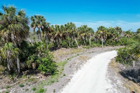 Land in Lake Placid, Florida № 1772938 - photo 8