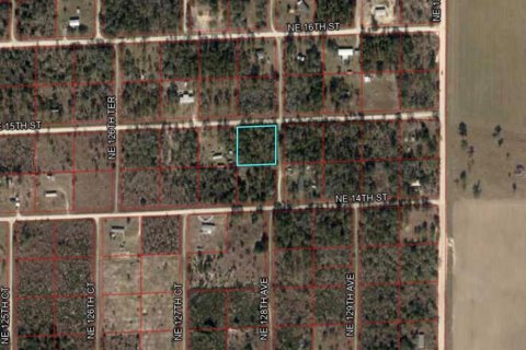 Land in Williston, Florida № 2232874 - photo 2