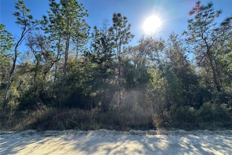 Land in Williston, Florida № 2232874 - photo 3