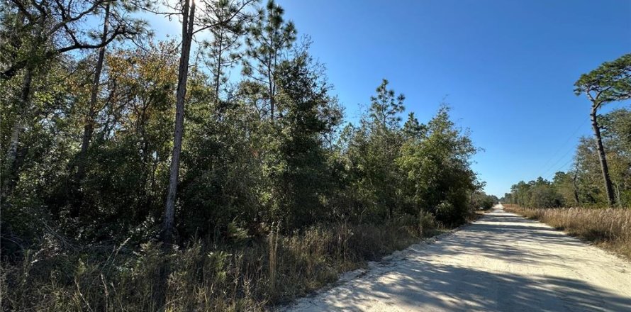 Land in Williston, Florida № 2232874