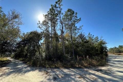 Land in Williston, Florida № 2232874 - photo 4