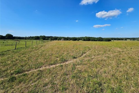 Land in Dade City, Florida № 1126453 - photo 13