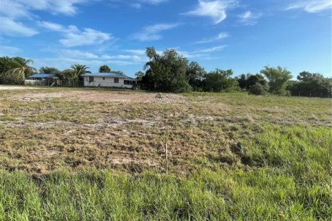 Купить земельный участок в Клуистон, Флорида № 2036577 - фото 3