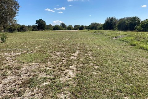 Купить земельный участок в Клуистон, Флорида № 2036577 - фото 6