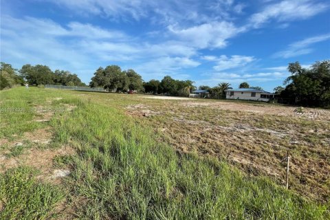 Купить земельный участок в Клуистон, Флорида № 2036577 - фото 4