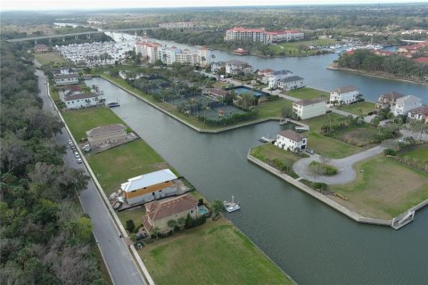 Land in Palm Coast, Florida № 1562272 - photo 6