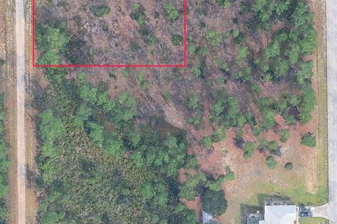 Land in Lehigh Acres, Florida № 2165090