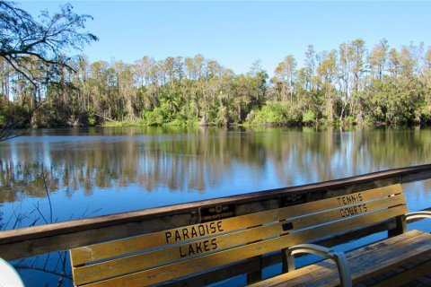 Condo in Lutz, Florida, 1 bedroom № 1526023 - photo 30