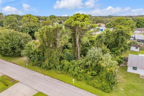 Land in Edgewater, Florida № 2386717 - photo 4