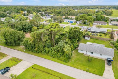 Land in Edgewater, Florida № 2386717 - photo 2