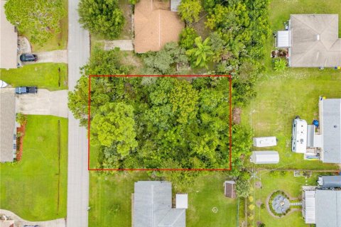 Land in Edgewater, Florida № 2386717