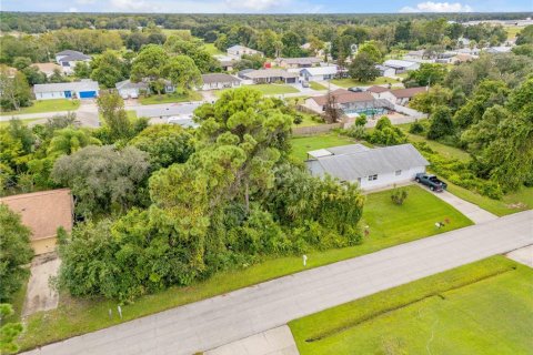 Land in Edgewater, Florida № 2386717 - photo 3