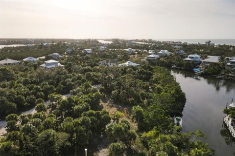 Land in Placida, Florida № 1386541 - photo 2