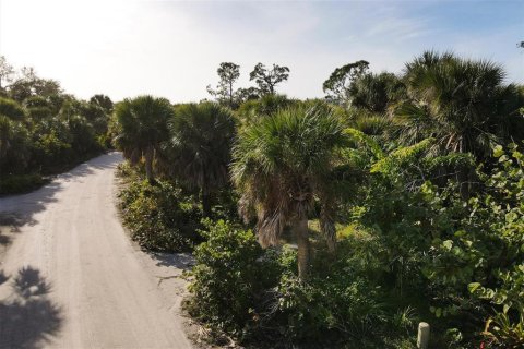 Land in Placida, Florida № 1386541 - photo 15