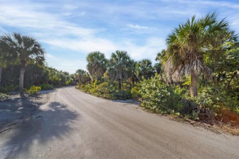 Land in Placida, Florida № 1386541 - photo 4