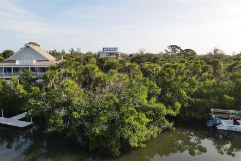 Land in Placida, Florida № 1386541 - photo 9