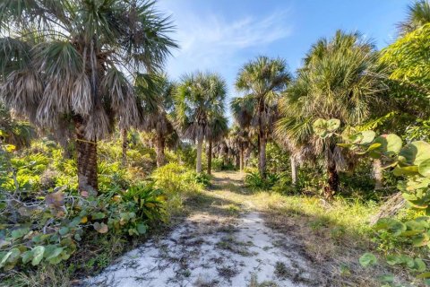 Land in Placida, Florida № 1386541 - photo 3