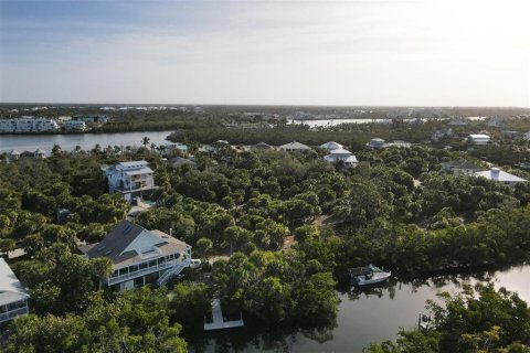Land in Placida, Florida № 1386541 - photo 13