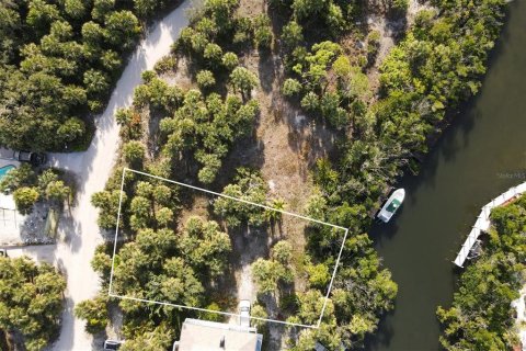 Land in Placida, Florida № 1386541 - photo 11
