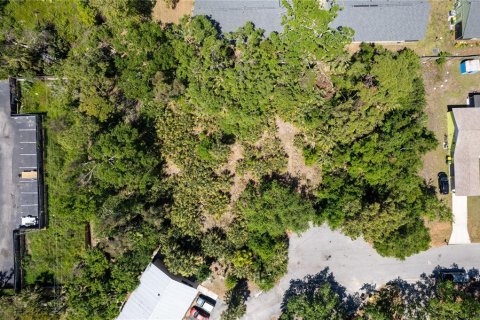 Terreno en venta en Sarasota, Florida № 1602198 - foto 4