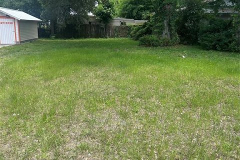 Land in Daytona Beach, Florida № 2162435 - photo 7