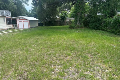 Land in Daytona Beach, Florida № 2162435 - photo 2