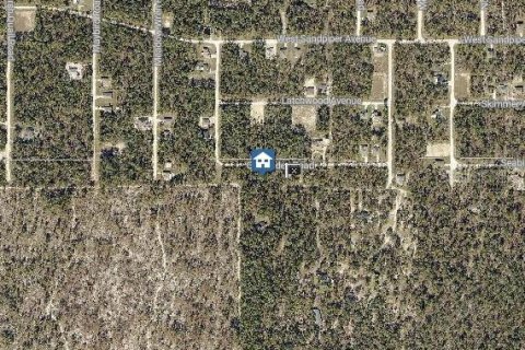 Land in Brooksville, Florida № 2159754 - photo 3