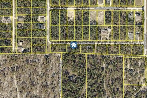 Land in Brooksville, Florida № 2159754 - photo 2