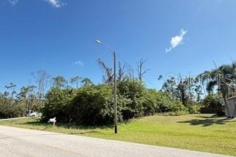 Land in Port Charlotte, Florida № 2161533 - photo 2