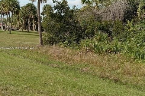 Land in Punta Gorda, Florida № 1887287 - photo 13