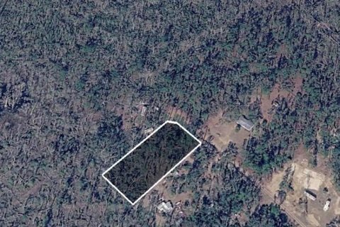 Land in Perry, Florida № 2161605 - photo 6
