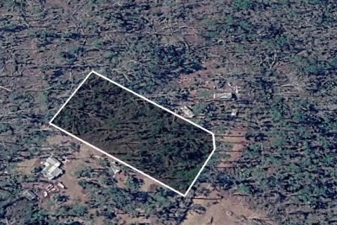 Land in Perry, Florida № 2161605 - photo 3