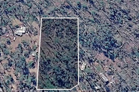Land in Perry, Florida № 2161605