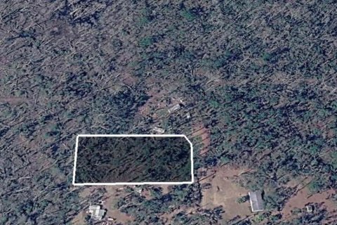 Land in Perry, Florida № 2161605 - photo 4