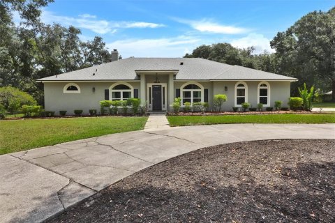 House in Apopka, Florida 4 bedrooms, 247.86 sq.m. № 2306670