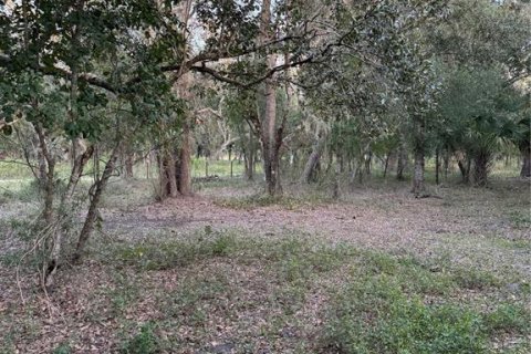 Land in Arcadia, Florida № 2196684 - photo 13