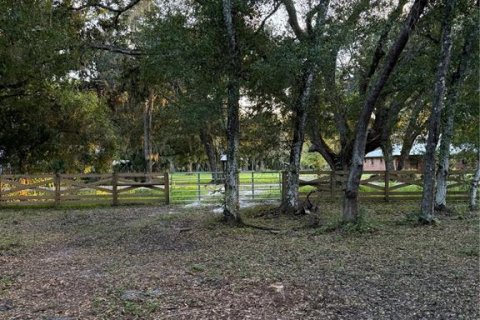 Land in Arcadia, Florida № 2196684 - photo 8