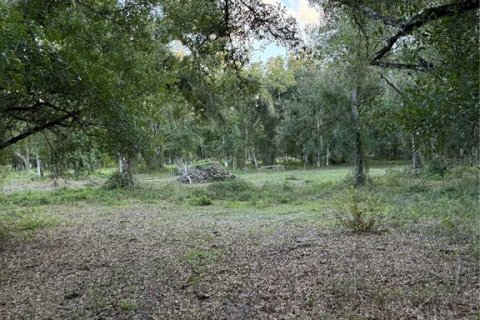 Land in Arcadia, Florida № 2196684 - photo 10