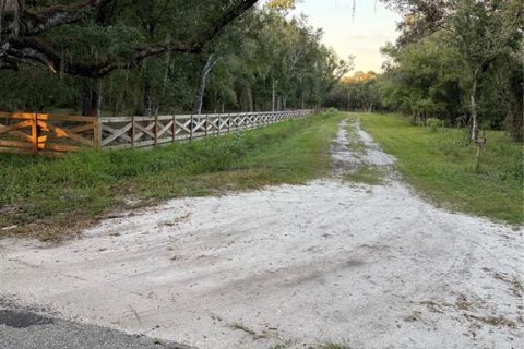 Land in Arcadia, Florida № 2196684 - photo 6
