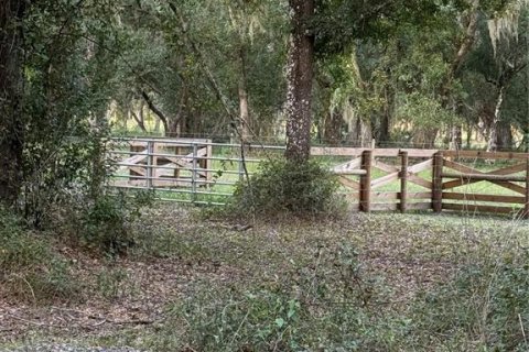 Land in Arcadia, Florida № 2196684 - photo 7