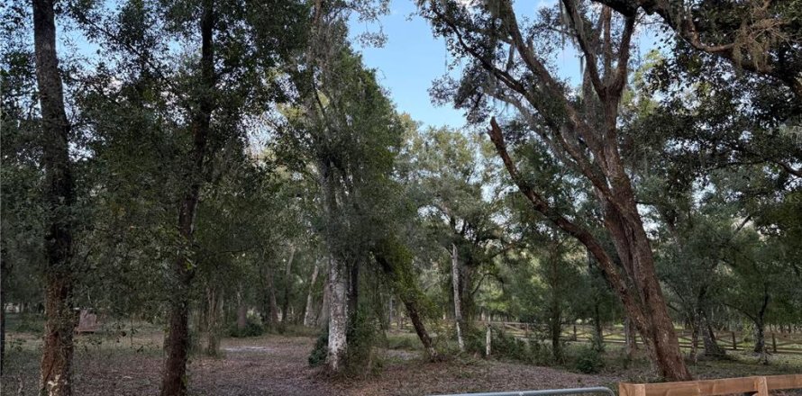 Land in Arcadia, Florida № 2196684