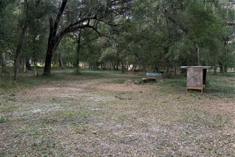 Land in Arcadia, Florida № 2196684 - photo 15