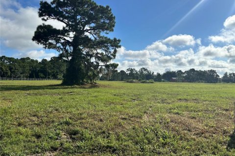 Land in Umatilla, Florida № 1913100 - photo 10