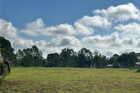 Land in Umatilla, Florida № 1913100 - photo 1