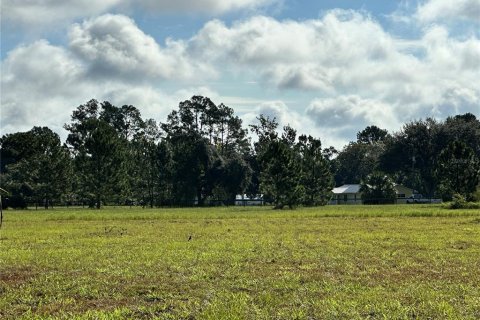 Land in Umatilla, Florida № 1913100 - photo 13