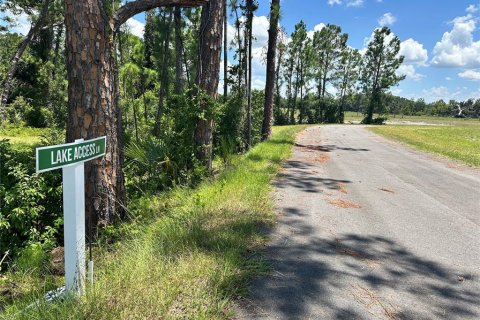 Land in Umatilla, Florida № 1913100 - photo 15