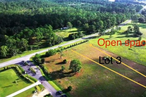 Land in Umatilla, Florida № 1913100 - photo 5