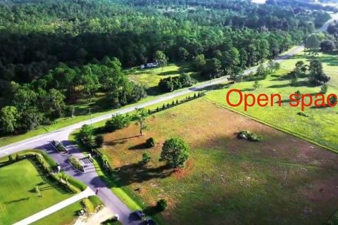 Land in Umatilla, Florida № 1913100 - photo 4