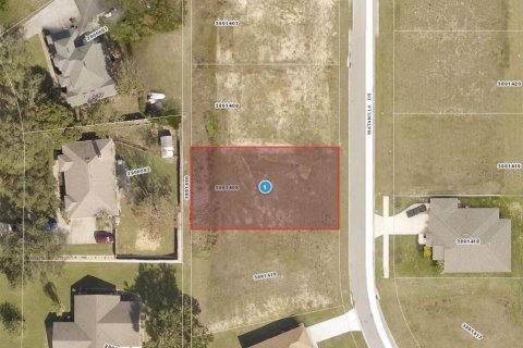 Land in Clermont, Florida № 2106102 - photo 2